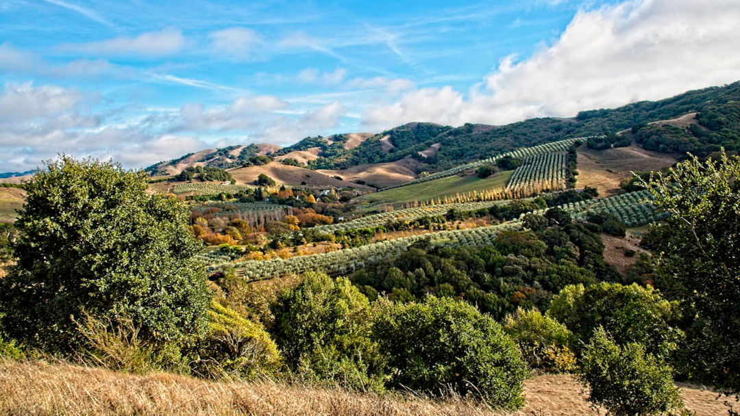Hudson Ranch Hike & Tasting