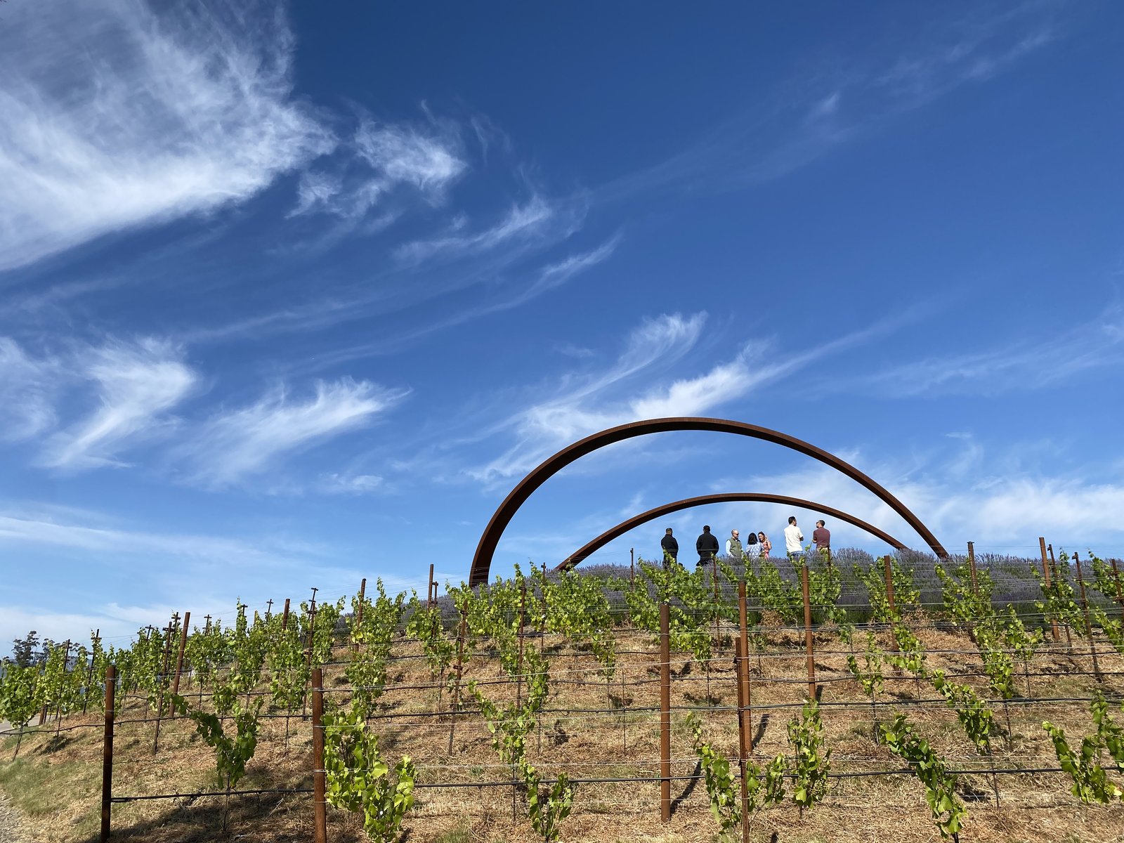 Founders gathered on the hilltop beneath the vineyard's steel arches